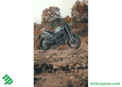 Benelli Leoncino 800 trail (4)